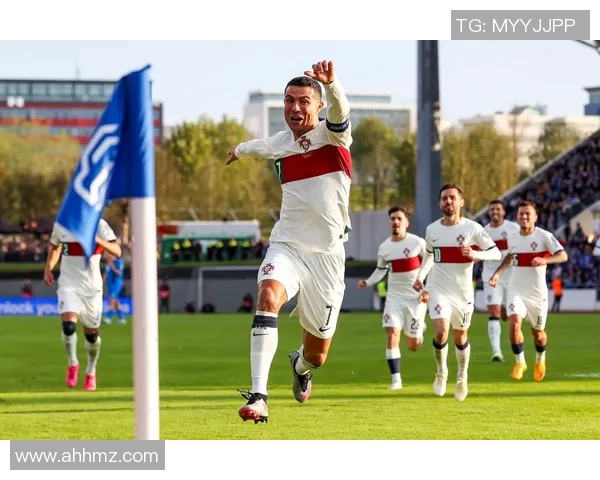 冰岛足球队2016欧洲杯23人名单及其精彩表现回顾